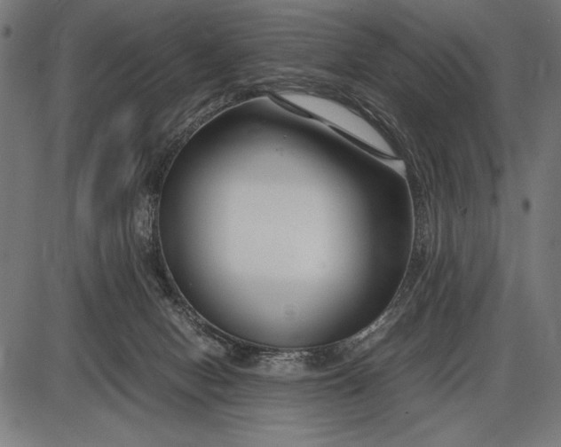 X0000086080078200704091312