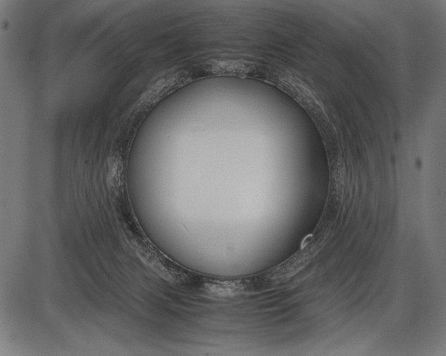 X0000086080079200704091312