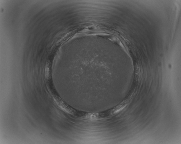 X0000086080080200704091312