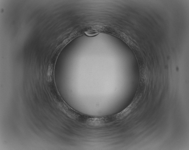 X0000086080082200704091312