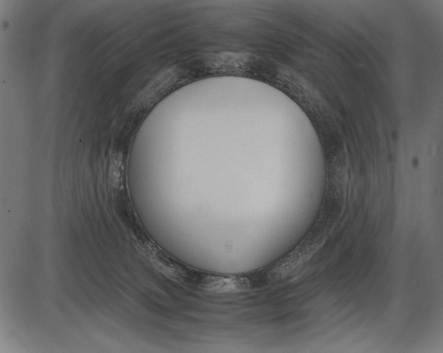 X0000086080083200704091312