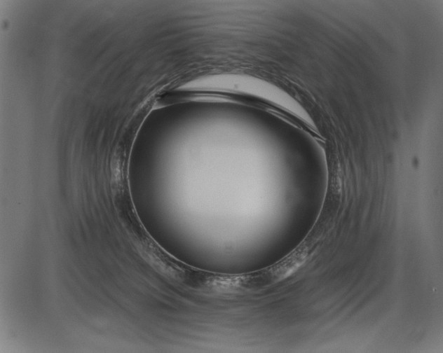 X0000086080084200704091312