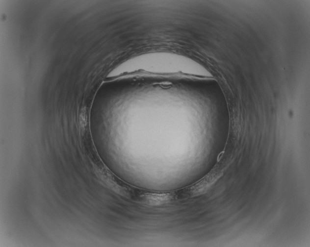 X0000086080085200704091312