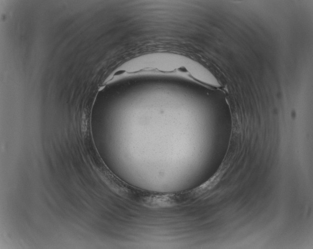 X0000086080086200704091312