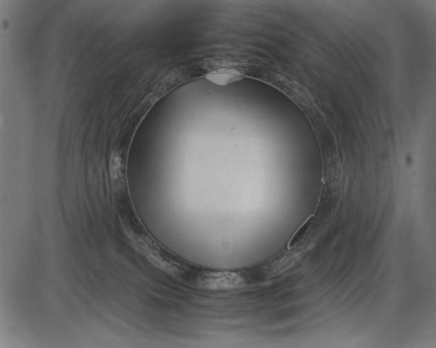 X0000086080087200704091312