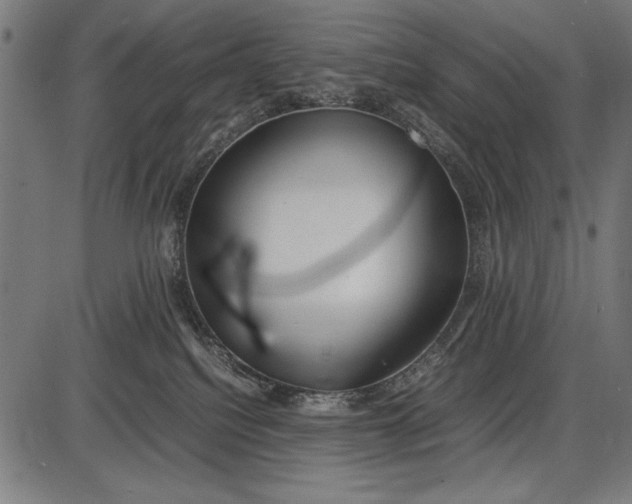 X0000086080088200704091312