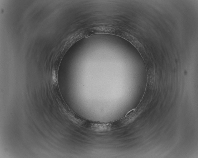 X0000086080089200704091312