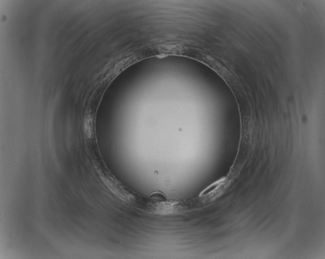 X0000086080090200704091312