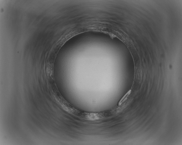 X0000086080091200704091312