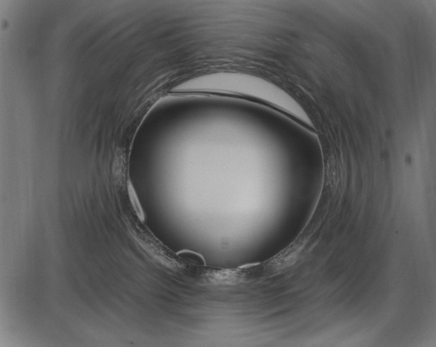 X0000086080092200704091312