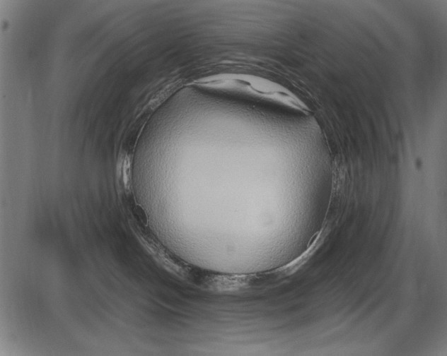 X0000086080094200704091312