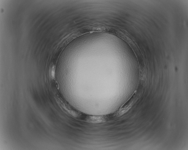 X0000086080095200704091312