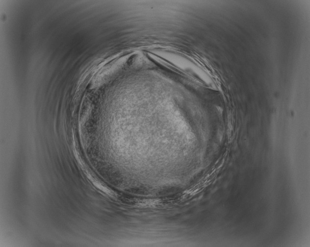 X0000086080097200704091311