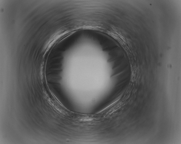 X0000086080098200704091311