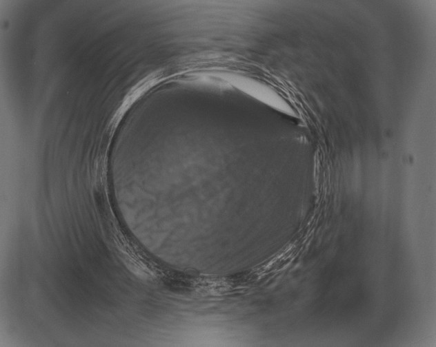 X0000086080099200704091311