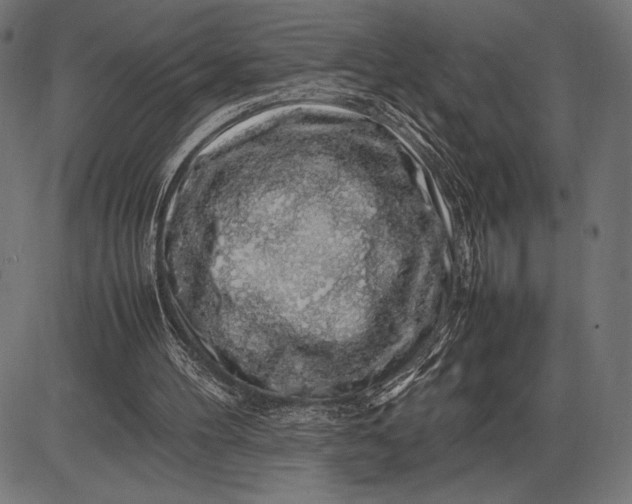 X0000086080100200704091311