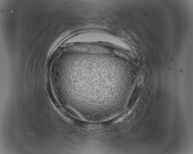 X0000086080101200704091311