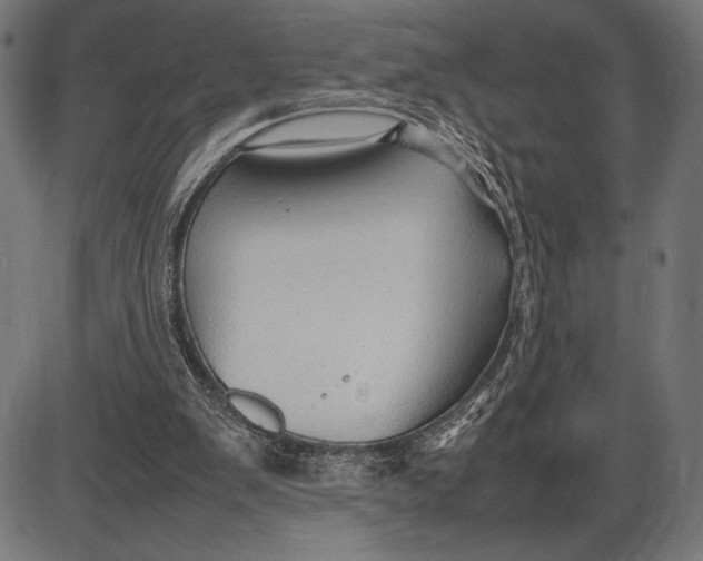 X0000086080103200704091311