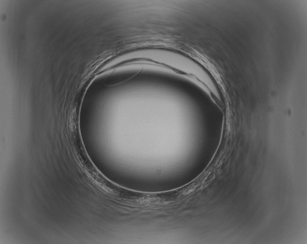 X0000086080105200704091311