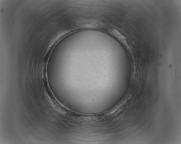 X0000086080106200704091311