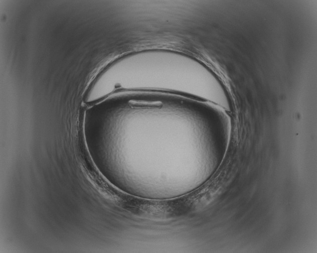 X0000086080107200704091311