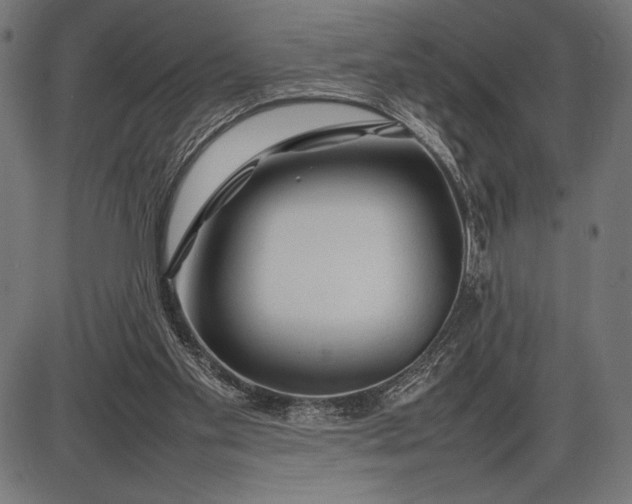 X0000086080109200704091311