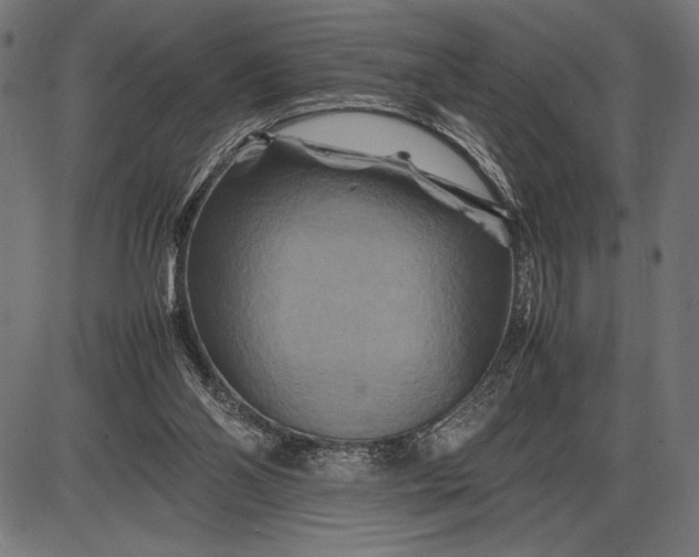 X0000086080110200704091311