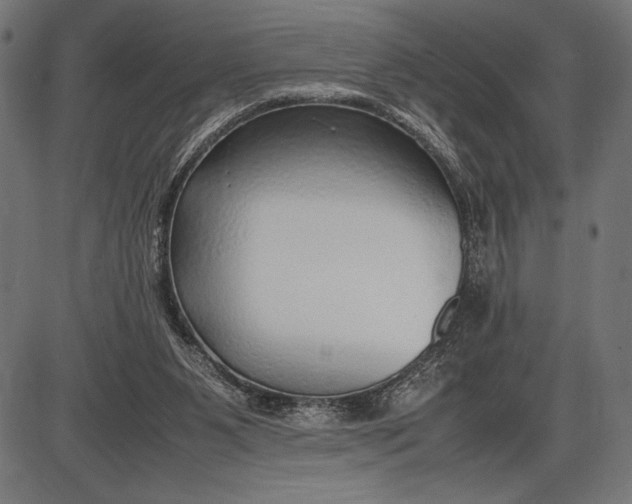 X0000086080111200704091311