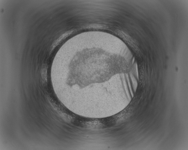 X0000086080112200704091311