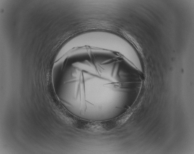 X0000086080113200704091311