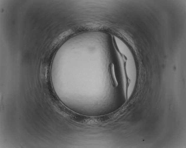 X0000086080115200704091311