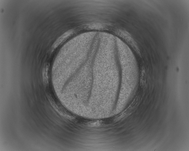 X0000086080116200704091311