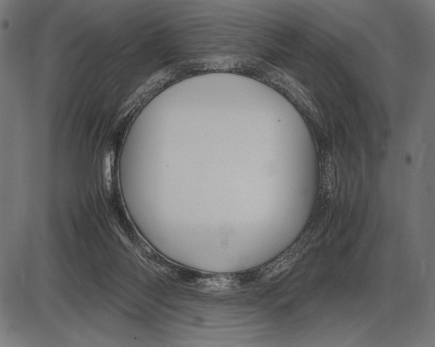 X0000086080118200704091311