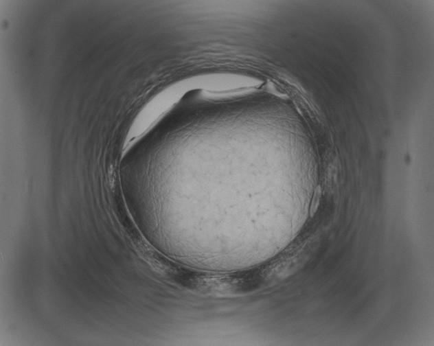 X0000086080121200704091311