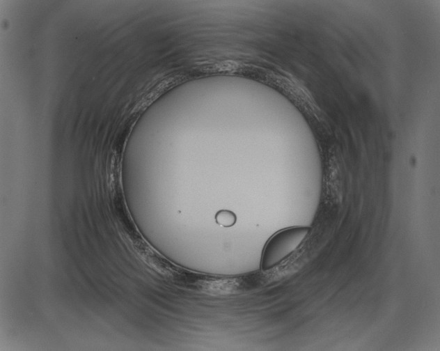 X0000086080122200704091311