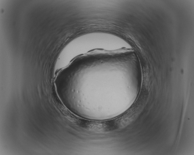 X0000086080123200704091311