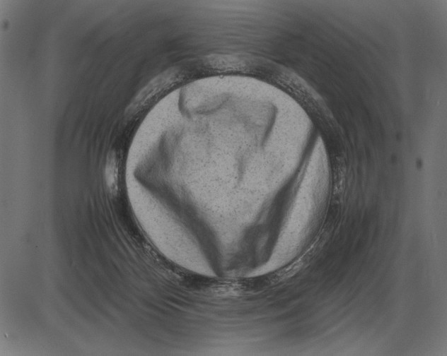 X0000086080124200704091311