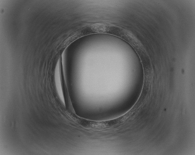 X0000086080125200704091311