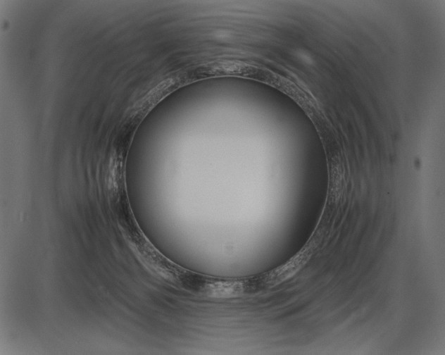 X0000086080126200704091311