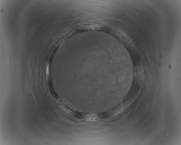 X0000086080127200704091311