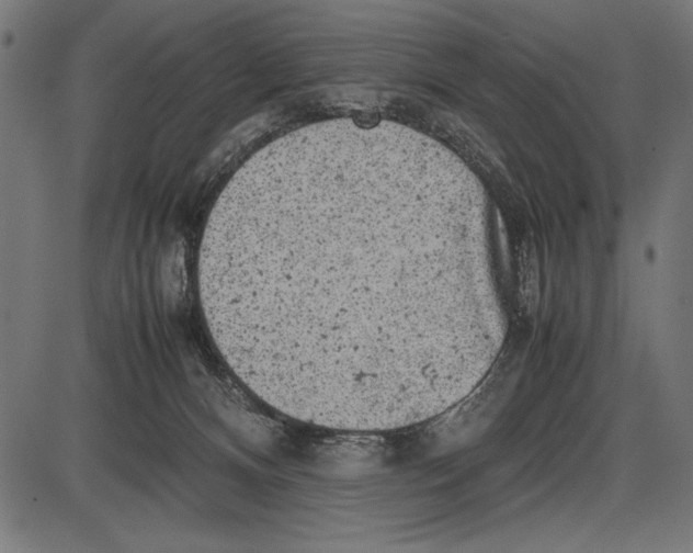 X0000086080128200704091311