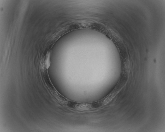 X0000086080129200704091311