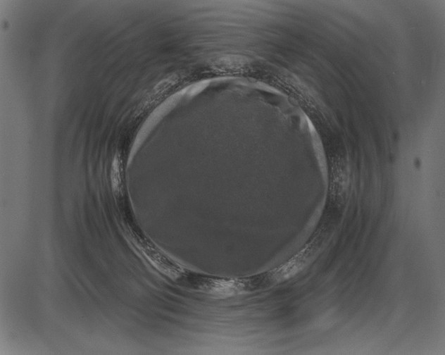 X0000086080130200704091311