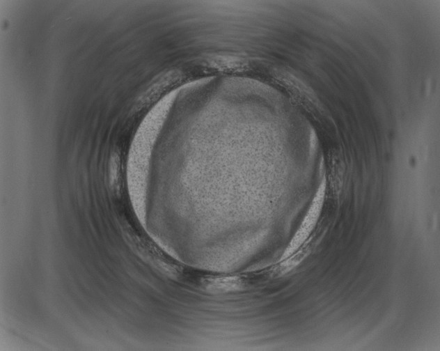 X0000086080132200704091311