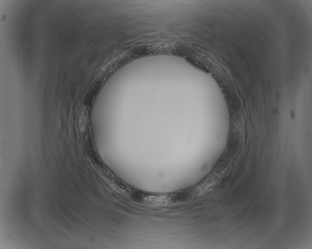 X0000086080133200704091311