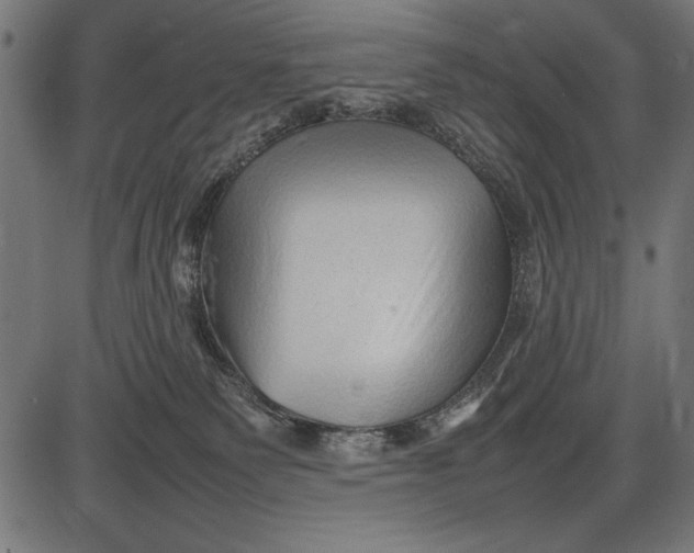 X0000086080135200704091311