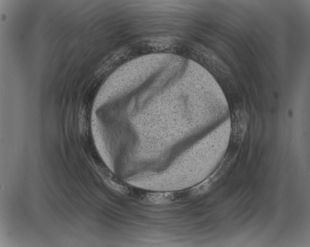 X0000086080136200704091311