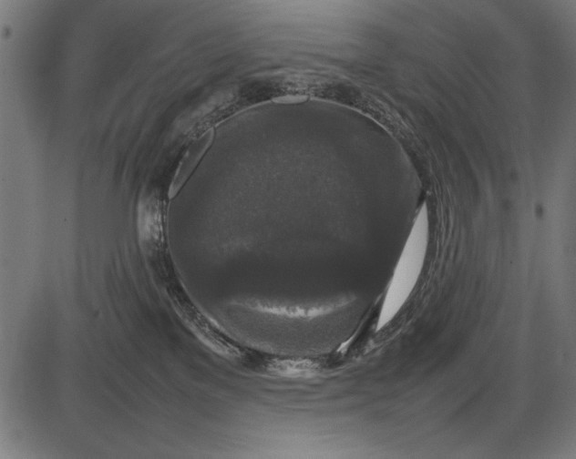 X0000086080137200704091311