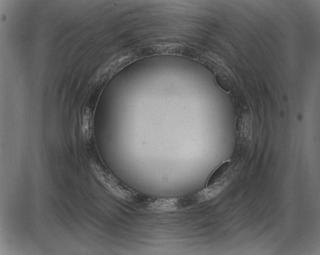 X0000086080138200704091311