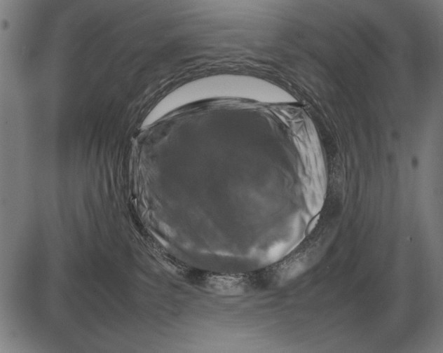 X0000086080139200704091311